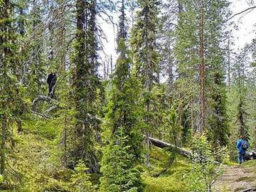 Фото номера Дом для отпуска Дома для отпуска Holiday Home Villa tunturi г. Tikkala 44